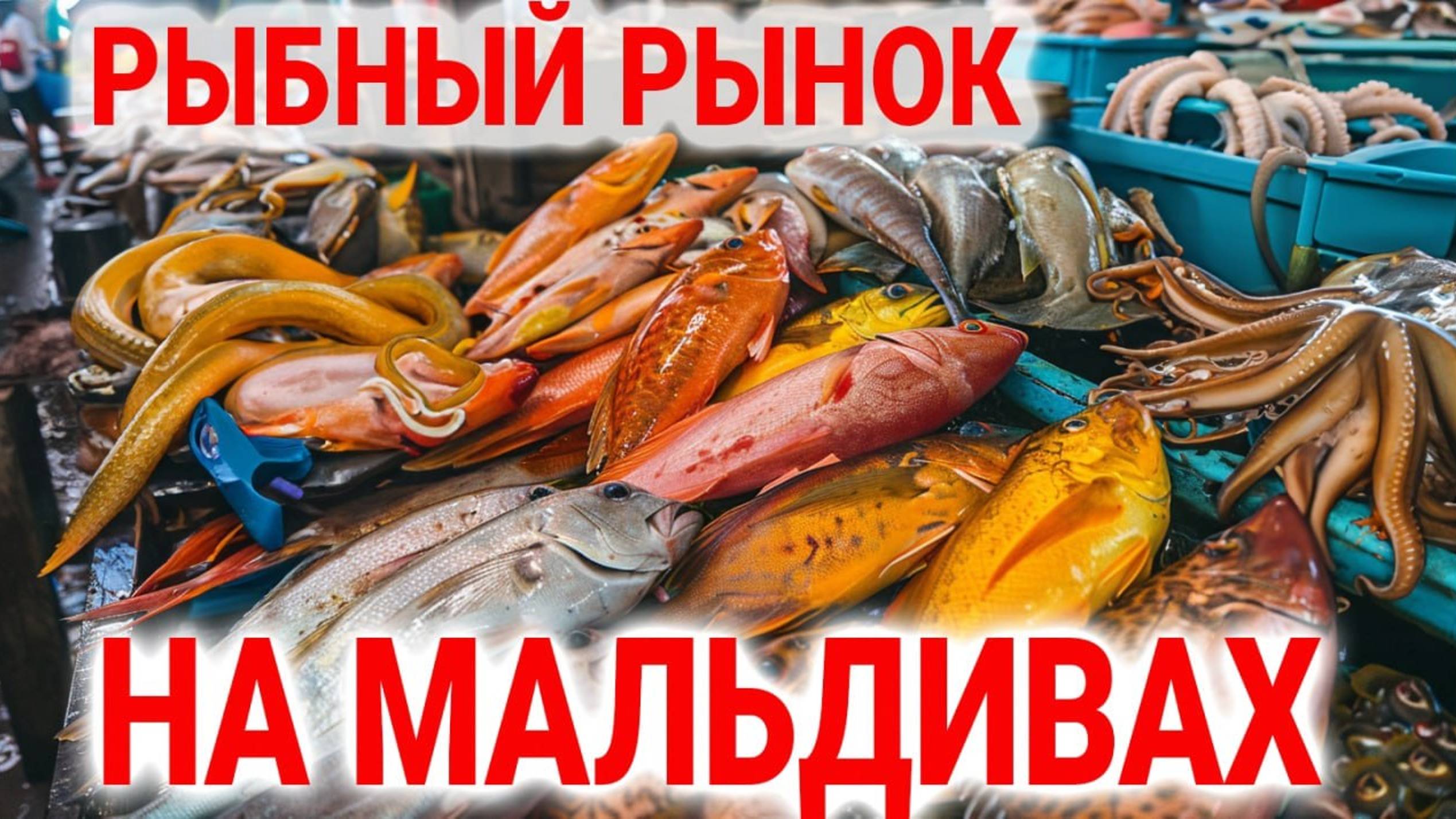 Рыбный рынок в Мале