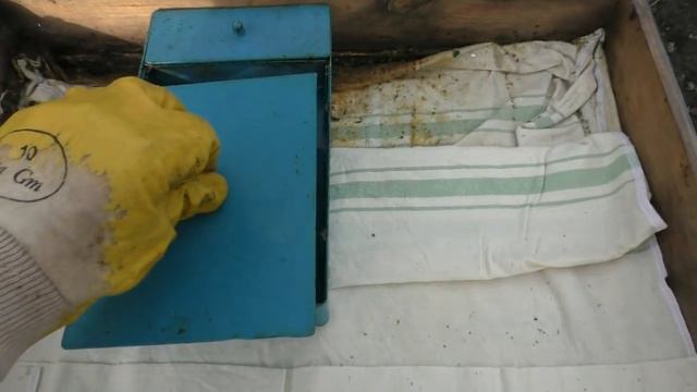 Мои самые первые действия после выставки пчел из зимовника