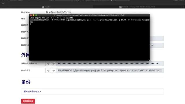 How To Connect A PostgreSQL Database Using Command Line (CLI)?