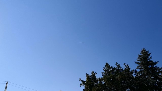 VID_20181014_144238