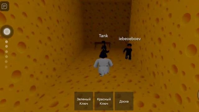мы сегодня Играли в roblox с другом в режим крыса