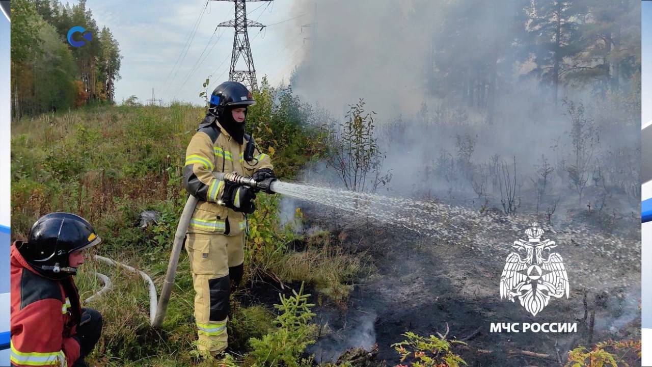 Пожарные Петрозаводска целый день боролись с огнем в лесополосе на Суоярвском шоссе