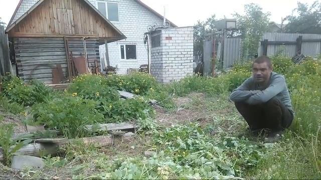 Маклейн Зарабатывает Авторитет