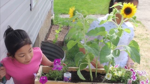 Kaylee and Kaycee Plant Flowers for Spring and Summer Time | Kaycee Plays the earthworm