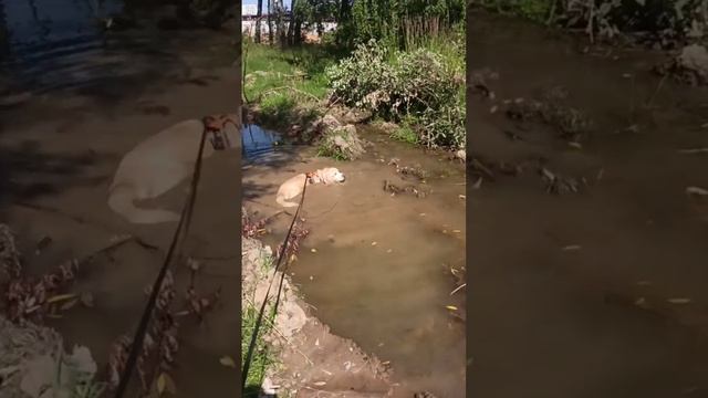 1000099172.mp4