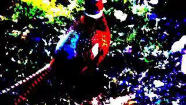 Satanic Euro Dance - illusion (remix)