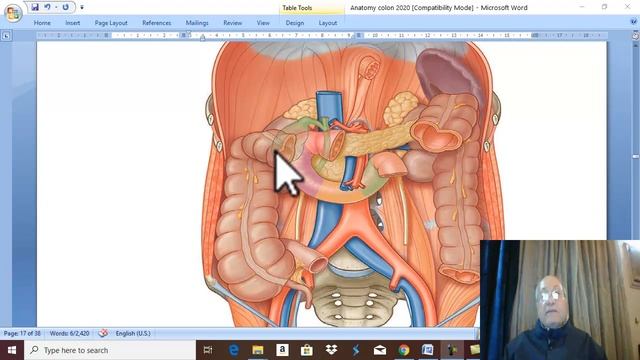 Anatomy  GIT Module  (  Colic Flexures ) , by Dr. Wahhdan .