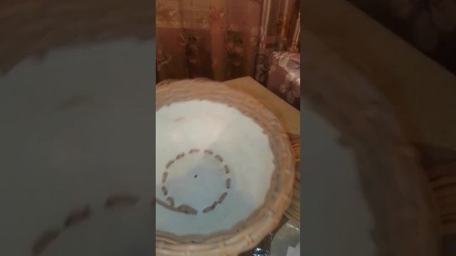 Кашпо из ротанга! Первое!