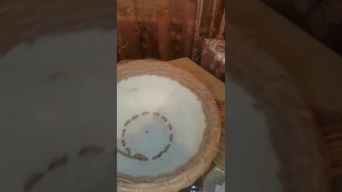 Кашпо из ротанга! Первое!