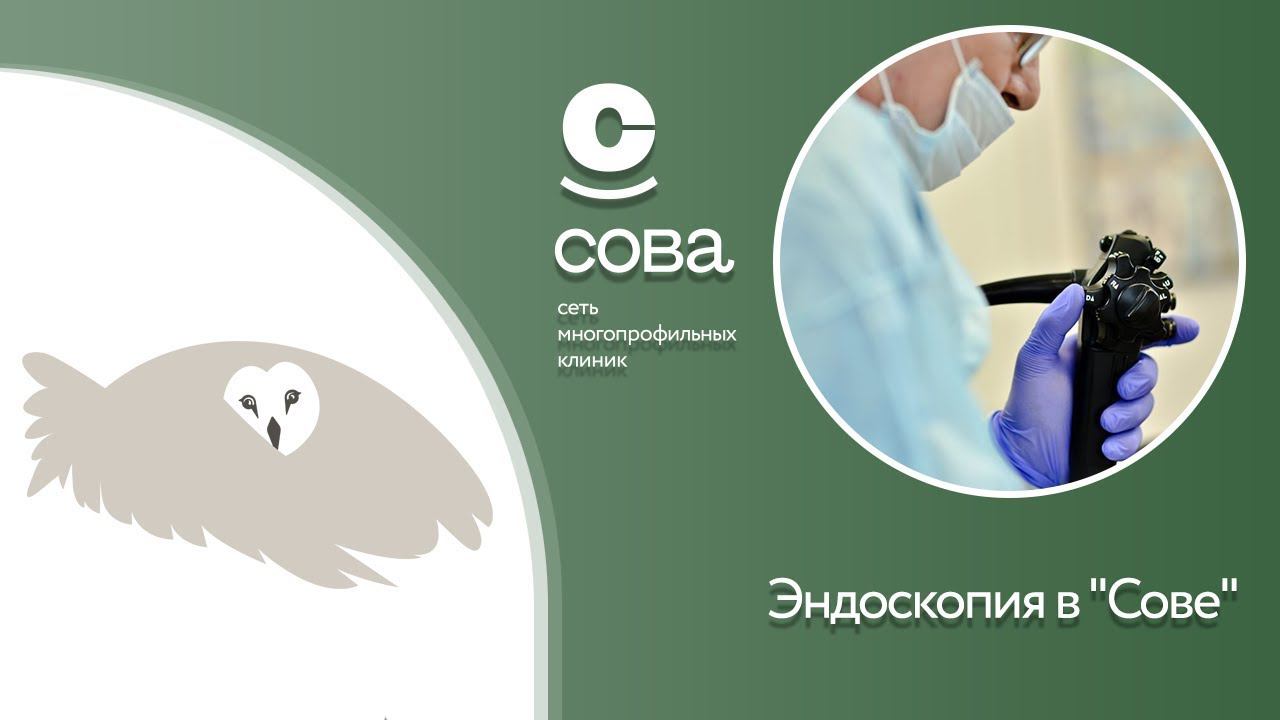 Эндоскопия в "Сове"