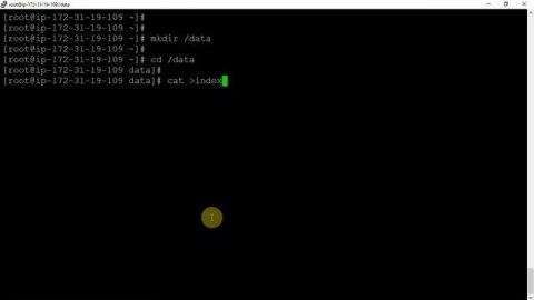 Learn Docker in 30 Minutes - 2