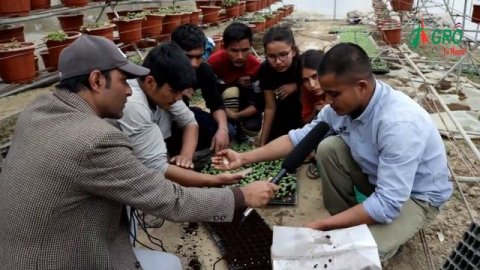 हाईटेक टनेलभित्र थोपा सिंचाई प्रबिधि र तरकारी खेती || Agro Tv Nepal