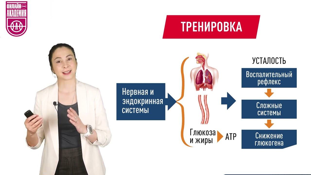 Тренировочный стимул. Урок 3. Виды физиологического ответа