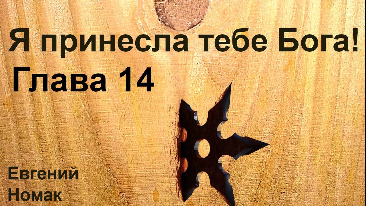 Я принесла тебе Бога! Глава 14