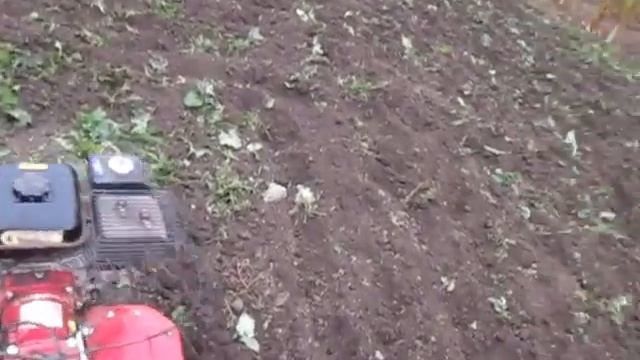 Мотоблок Кентавр 7 л с  Перепашка седератов фрезами.