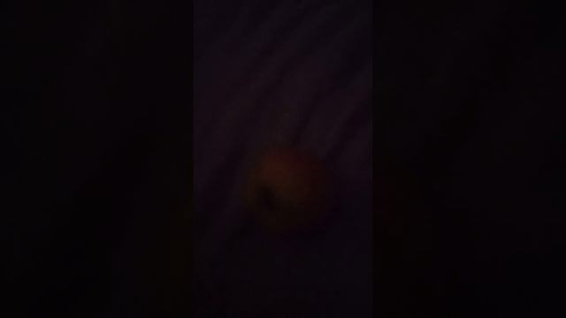 "Щедрый" подарок от богатой тёти нищей родне 🤣