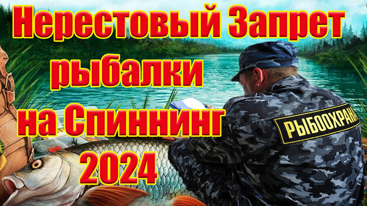 Разрешен ли Спиннинг в Нерестовый запрет 2024 Новые правила рыбалки Закон о рыбалке