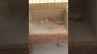 двухсторонний открытый камин