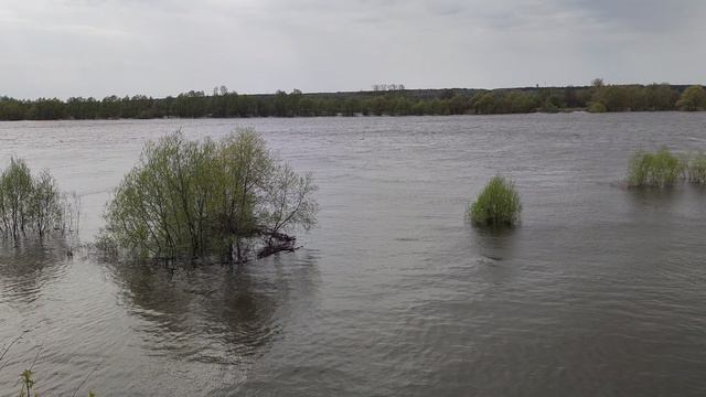 Половодье Оки