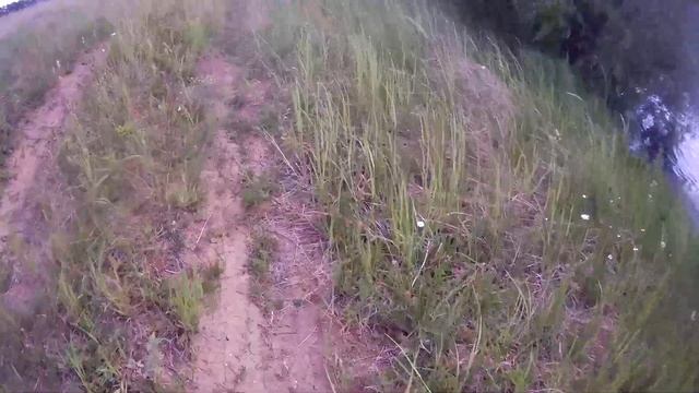 С металлодетектором по дубовой посадке