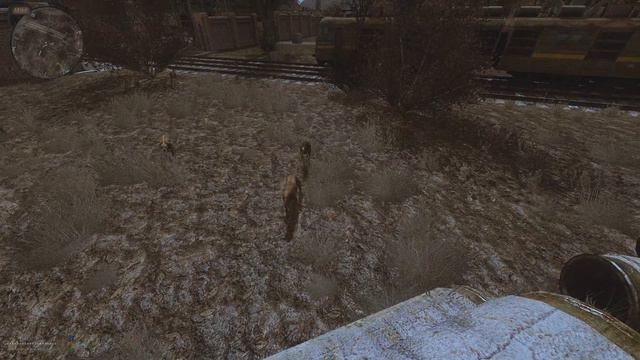 Нашел жестяка получил винтовку псведыч пропал  Dead Air Revolution patch 3 7 2021