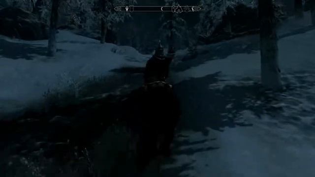 Заного в Skyrim #10 вступаем в инперский легеон!