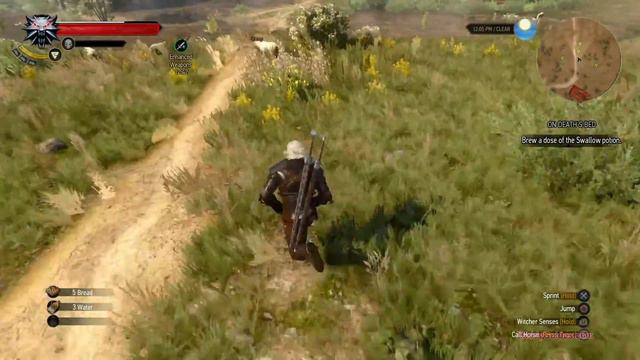 The Witcher 3 04 - On Death's Bed