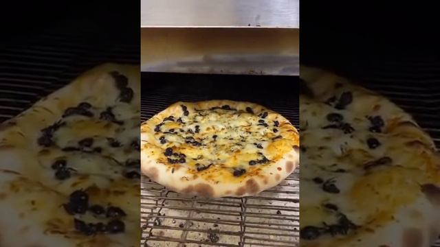 бразильская пицца с муравьями#https://clck.ru/3A94v9