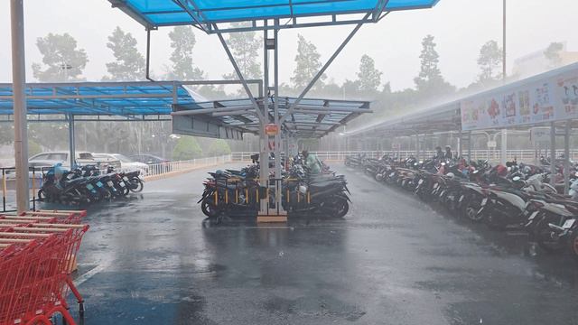 Лотте Март, Биньзыонг под дождем