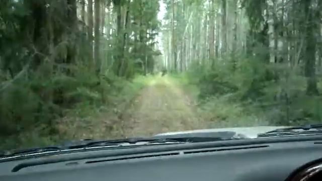 не трезвые покатушки