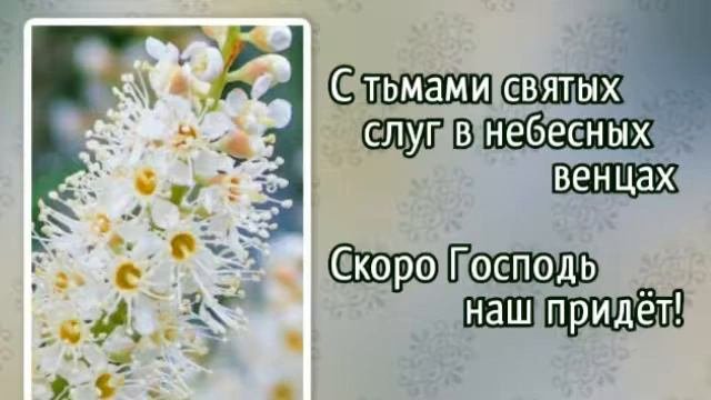 Гимны надежды 280 Громко трубите (-)
