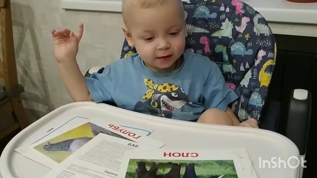 Карточки Домана учим с Юрой малыш 1,5 годика / развитие малыша 1 год 6 месяцев учим животных