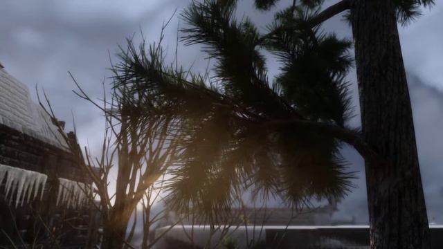 The Elder Scrolls V  Skyrim Special Edition 2019 3d trees