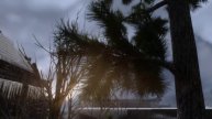 The Elder Scrolls V Skyrim Special Edition 2019 3d trees