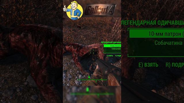 Fallout 4 в 2024 году ЛЕГЕНДАРНЫЕ ДВОРНЯГИ