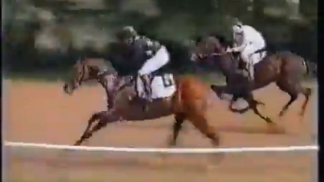 ЦМИ. Скачки. 6.09.2000. Приз Президента РФ для лошадей ст.возраста Гр.1