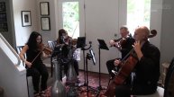 Counting Stars - OneRepublic - Artistrings Chicago Pop String Quartet Cover
