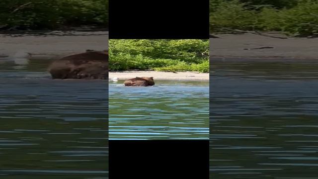 Круиз по Дальнему Востоку