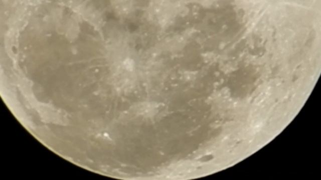 Zoom test. Nikon. P500