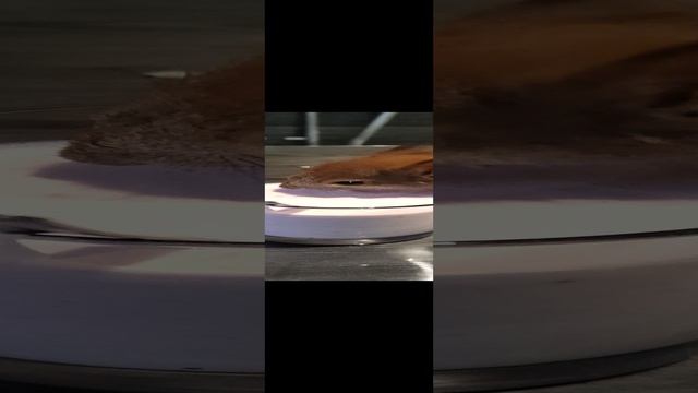 ? со сливками для белки