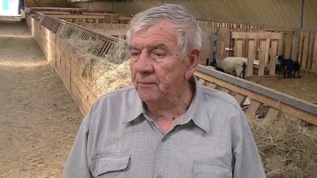 Овцеводческое племенное хозяйство СТЕПЬ 0+