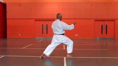 Shotokan Kata Ji in