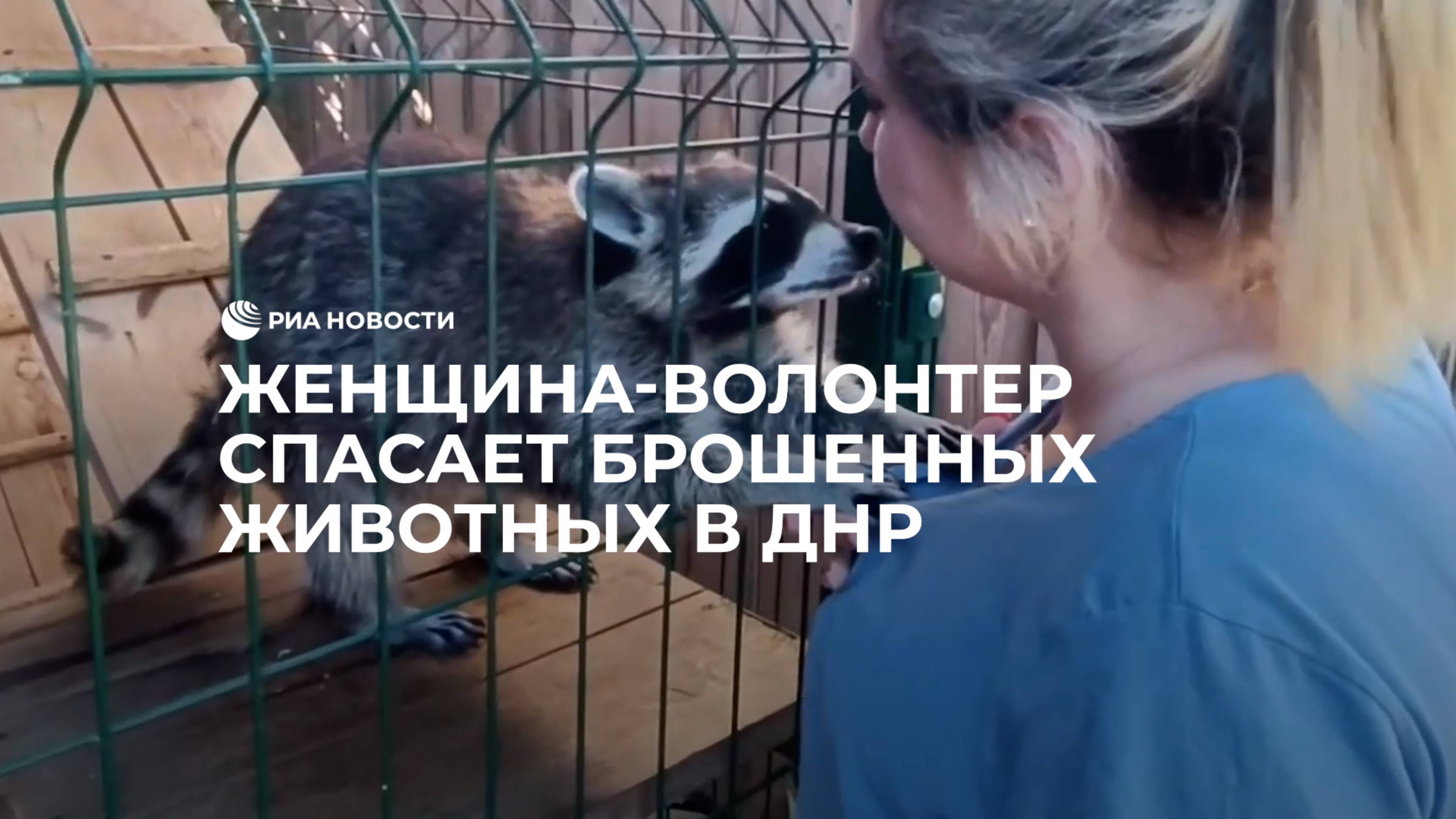 Женщина-волонтер спасает брошенных животных в ДНР