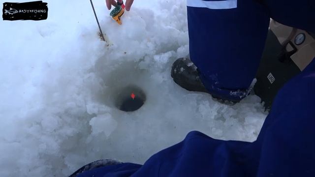 2 ночи в палатке на Рузском вдхр в глухозимье нашли крупную плотву