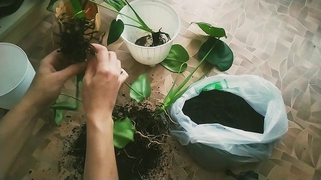 УРАА🔥УСТАНОВИЛИ НОВОЕ ОКНО В КОМНАТУ🔥БУДНИ ДОМА