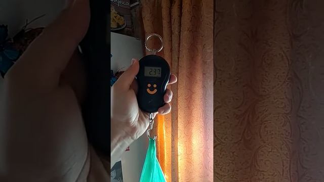 Вес забитого кролика в 5 месяцев