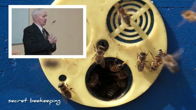 Что будет если часто разбирать пчелиное гнездо. Кашковский В.Г