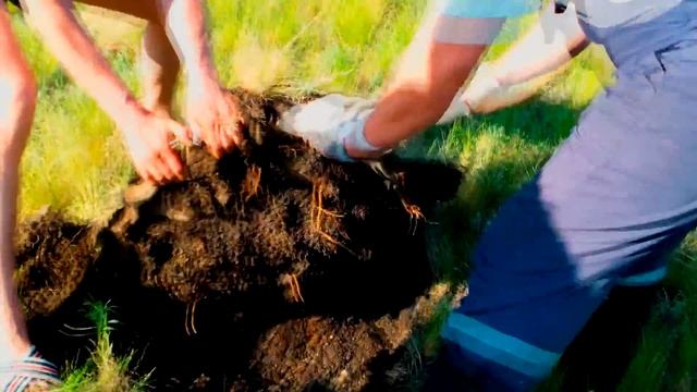 А по ночам мне снятся какие - то горшочки