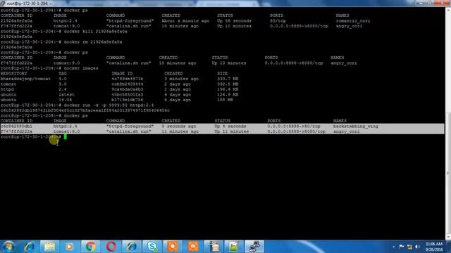 AWS ECS Tutorial Part 6 - How to Run Docker Containers?
