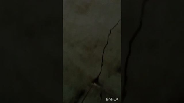 восстановление оникса